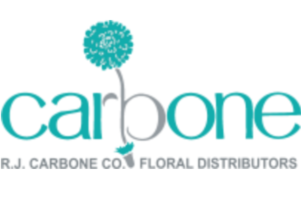 Carbone_Logo_Main